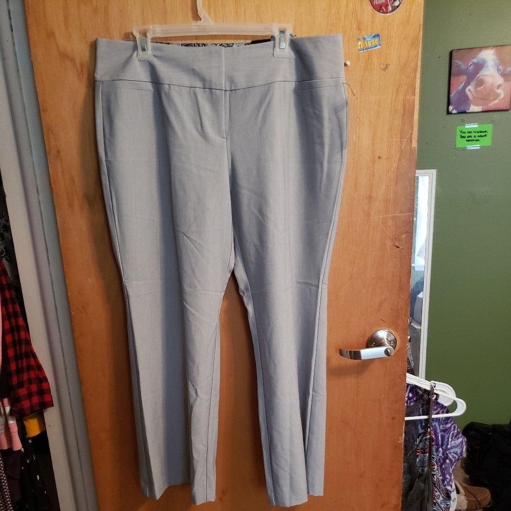 Dress pants